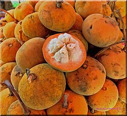 https://lssti-alumni.com/storage/photos/1/agricultural/fruits/santol.jpg