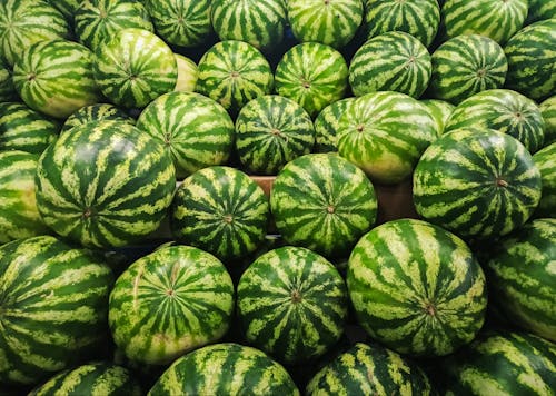 https://lssti-alumni.com/storage/photos/1/agricultural/fruits/watermelon.jpeg