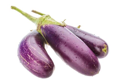 https://lssti-alumni.com/storage/photos/1/agricultural/vegetables/talong.jpg